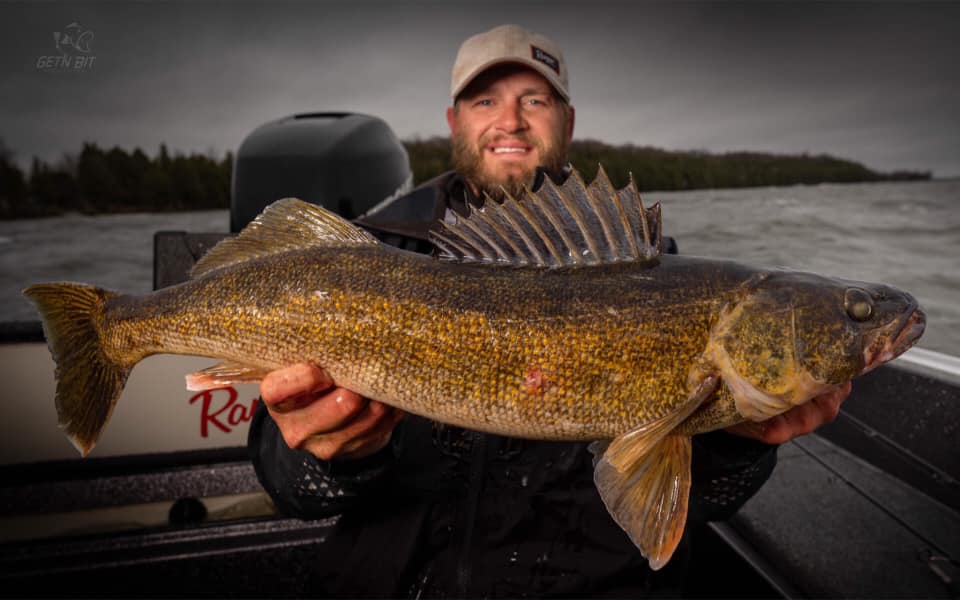 Walleyes Love Plastic in Cold Water - MidWest Outdoors