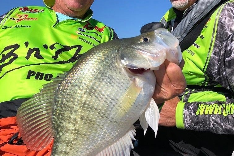 Inland crappie with coho and Chinook on Lake Michigan lead this sprawling  raw-file Midwest Fishing Report; plus there's a sort of Wisconsin opener on  Saturday and opening of some IDNR sites on