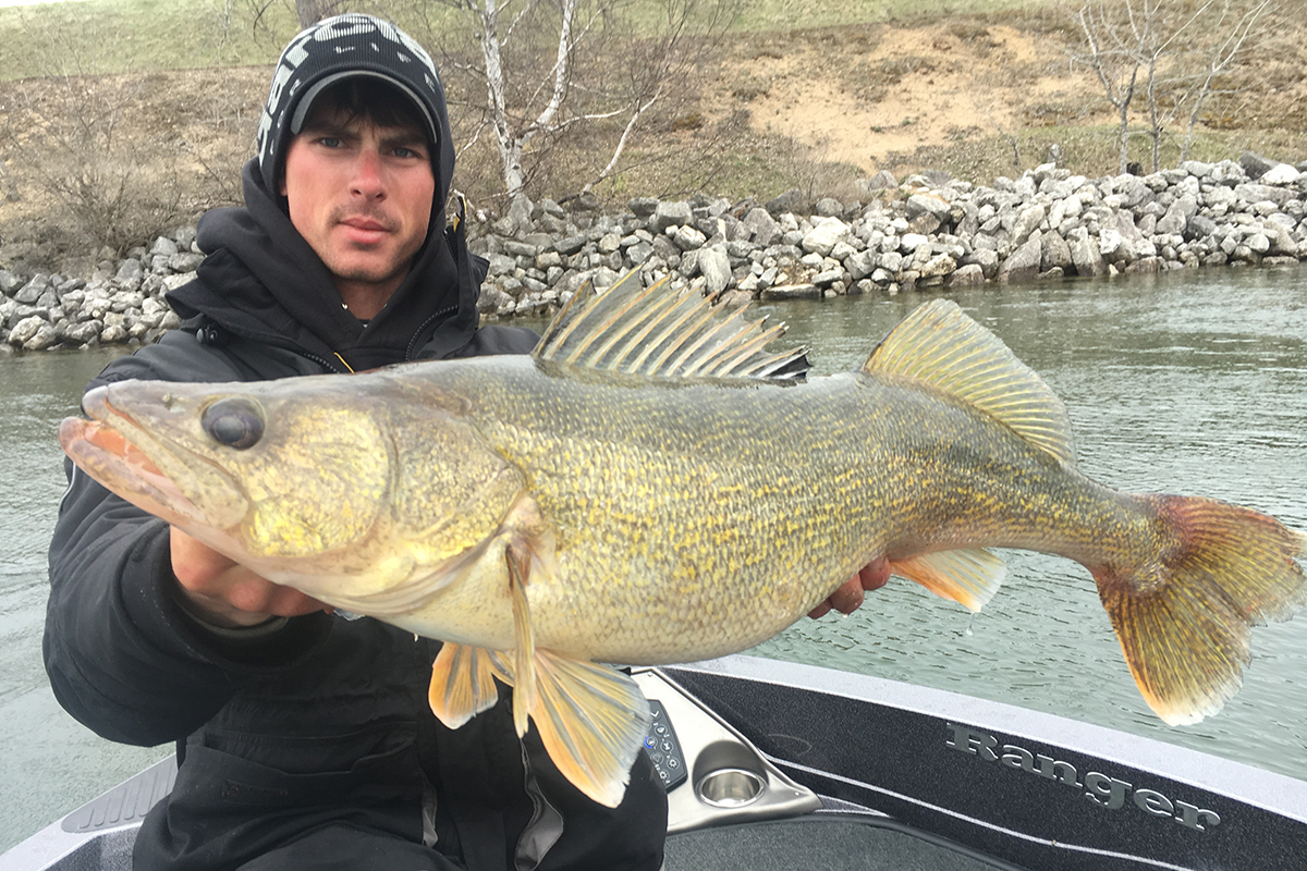Jigging with Plastic for Walleyes and Sauger Right Now! - MidWest