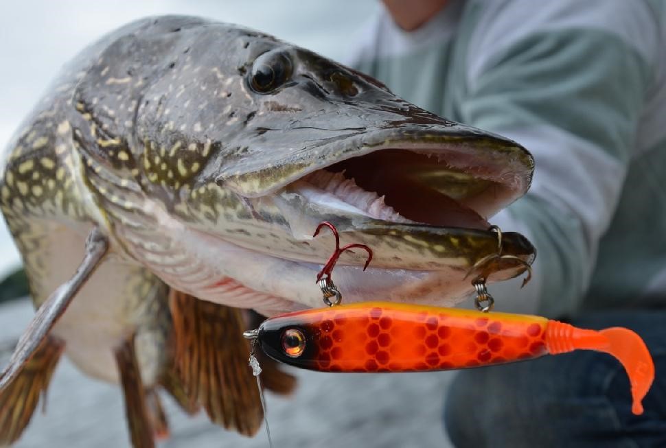 Bigger Lures Catch Bigger Pike—Mostly! : MidWest Outdoors