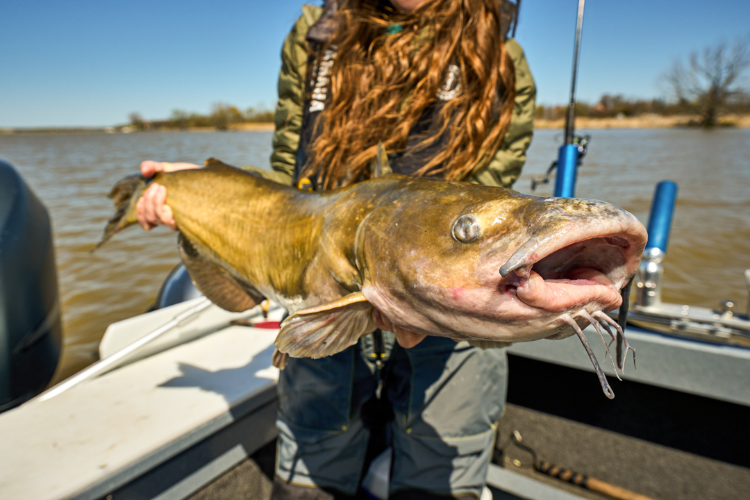 Spring Channel Catfish on the Grand River - MidWest Outdoors