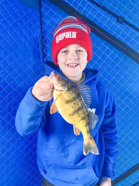 Jumbo Perch on Big Stone Lake - MidWest Outdoors