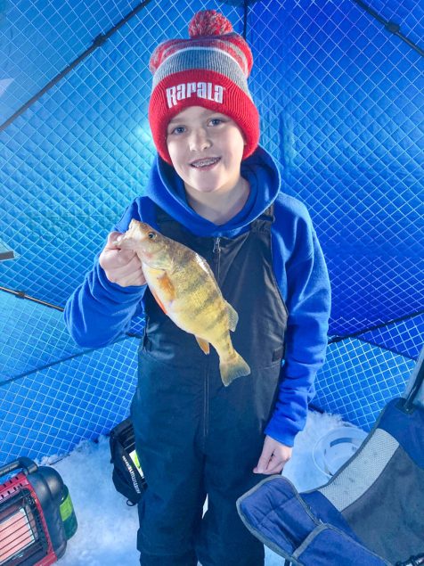 Jumbo Perch on Big Stone Lake - MidWest Outdoors