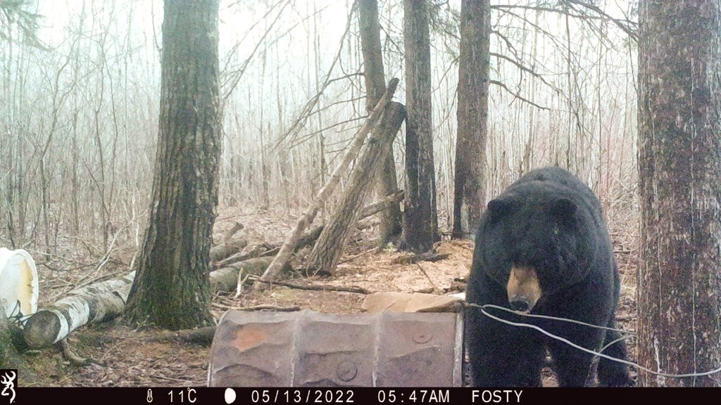 Time to throw away the spring bobbers?, Northwest Iowa Outdoors