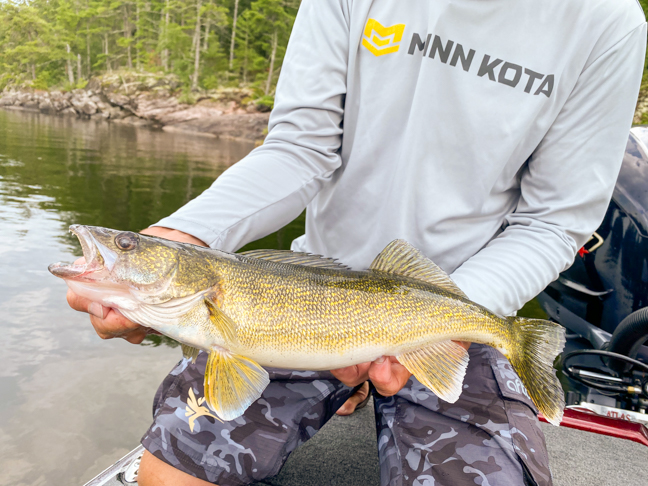 CRUSHING Big Walleyes On Swimbaits! 