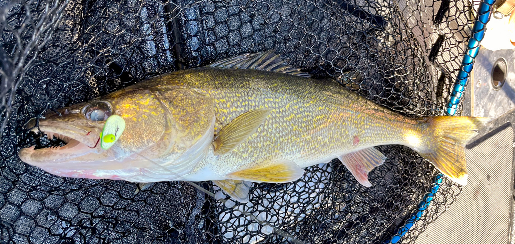 A Walleye Pro's Take on Pulling Spinners - MidWest Outdoors