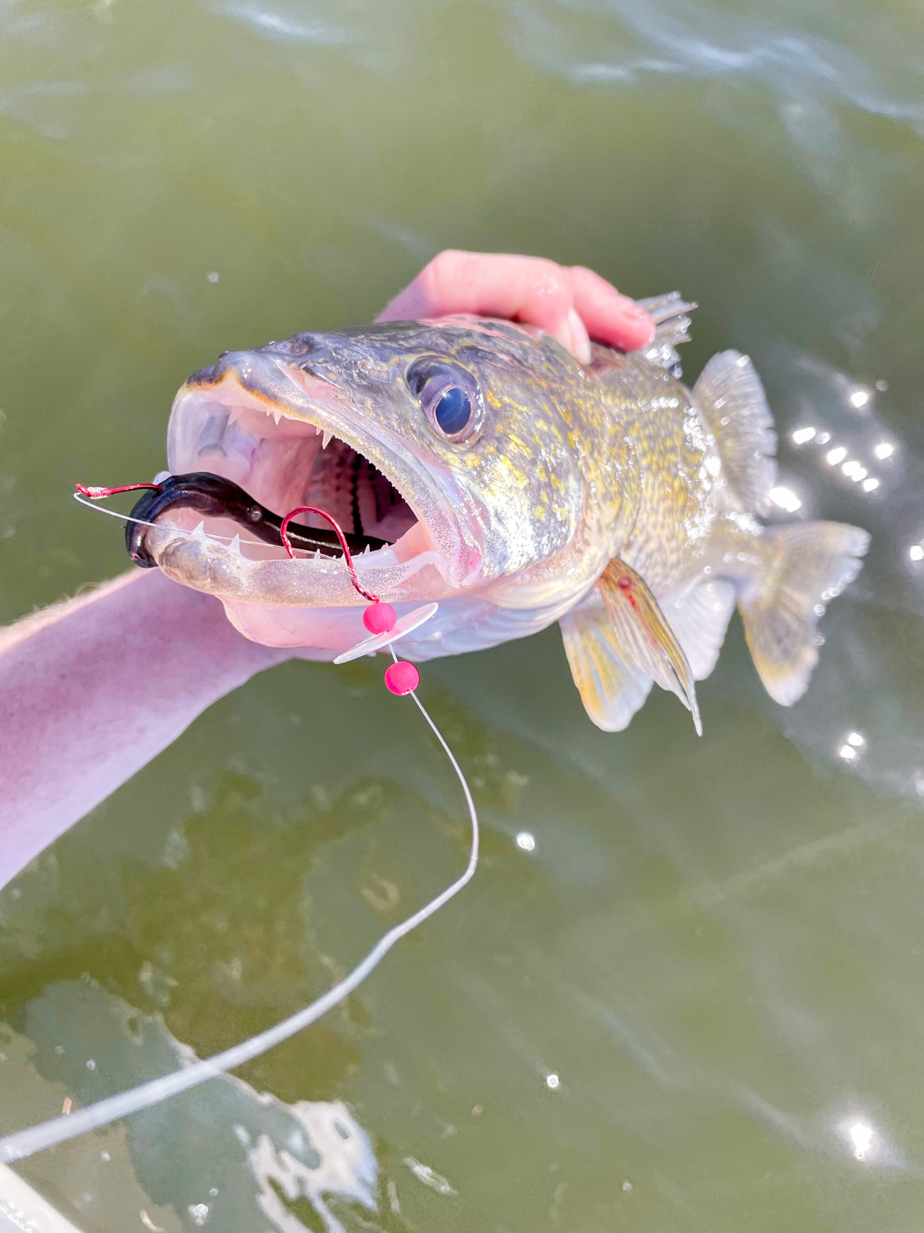 Rig with Slow Death hook - Epic Fishing Tackle