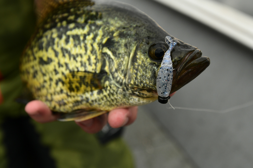 Making My FIRST EVER PANFISH BAITS! Soft Plastic Baits for Crappie