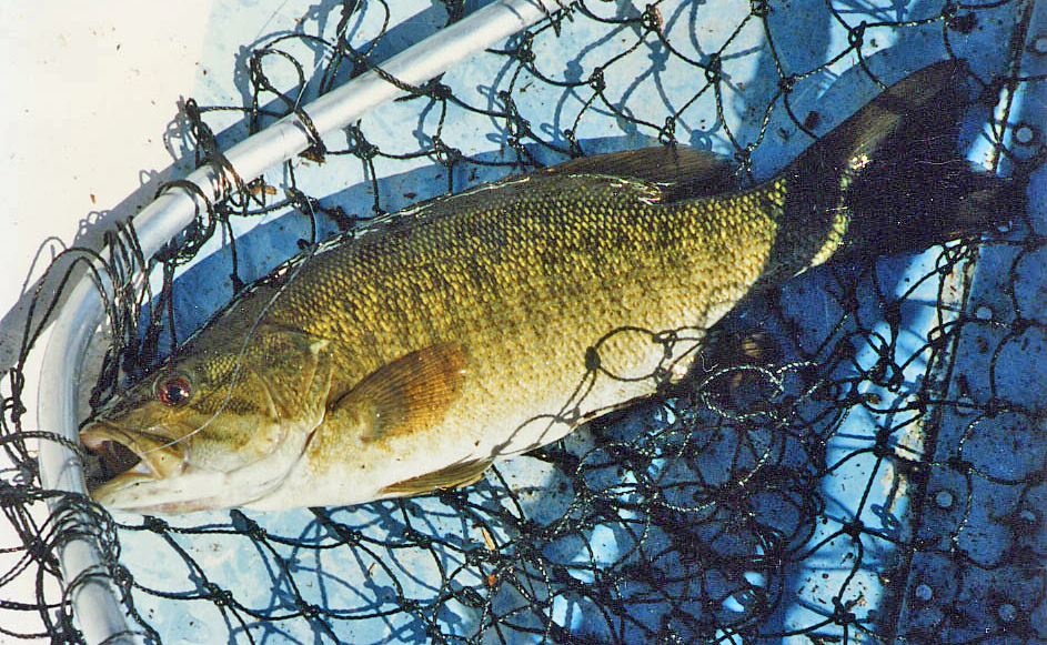 Road Trips for Trophy Smallmouth Bass - MidWest Outdoors