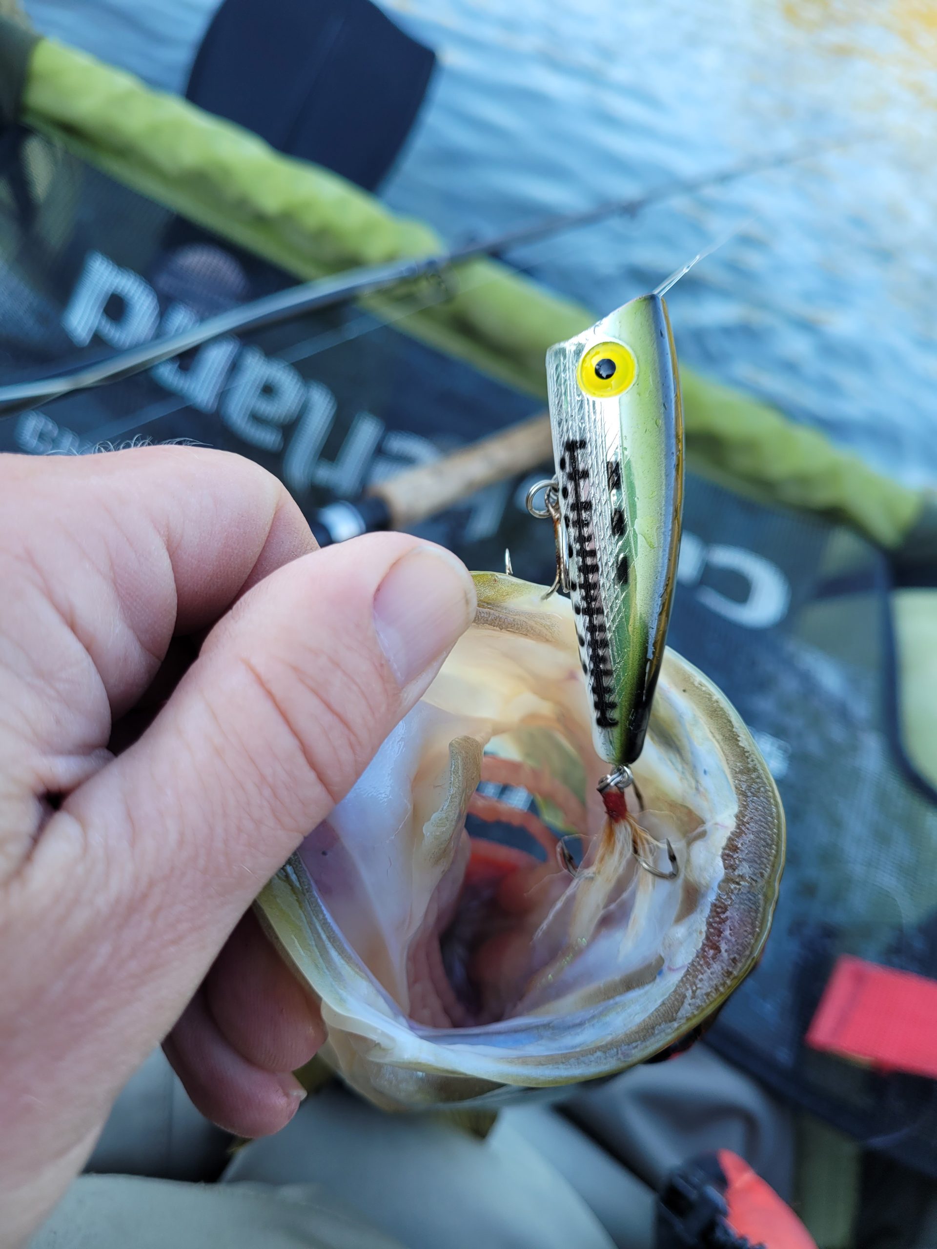 It's Topwater Time for Wisconsin Bass and Pike - MidWest Outdoors