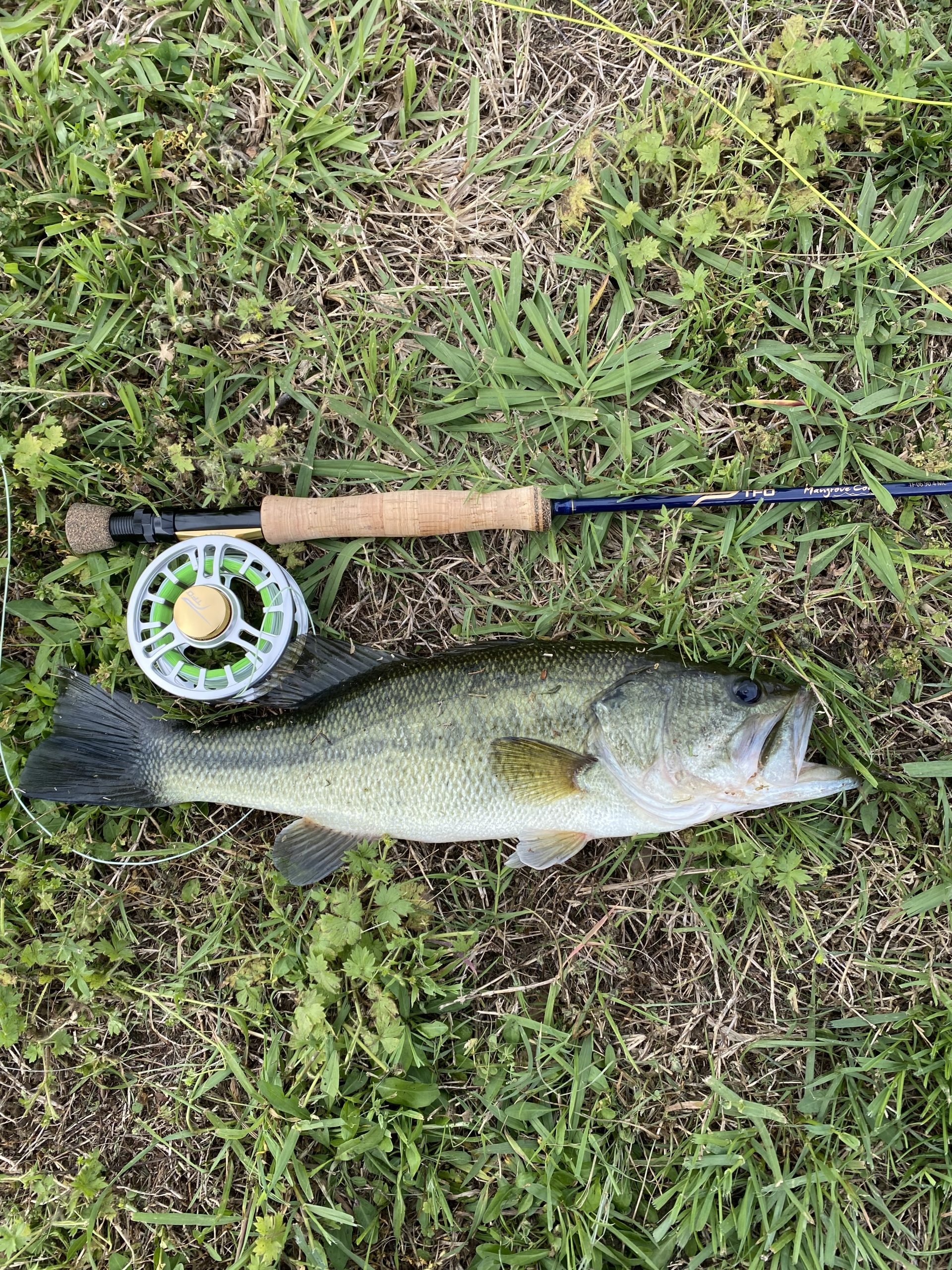 My biggest bass on the fly rod so far (5wt) : r/flyfishing