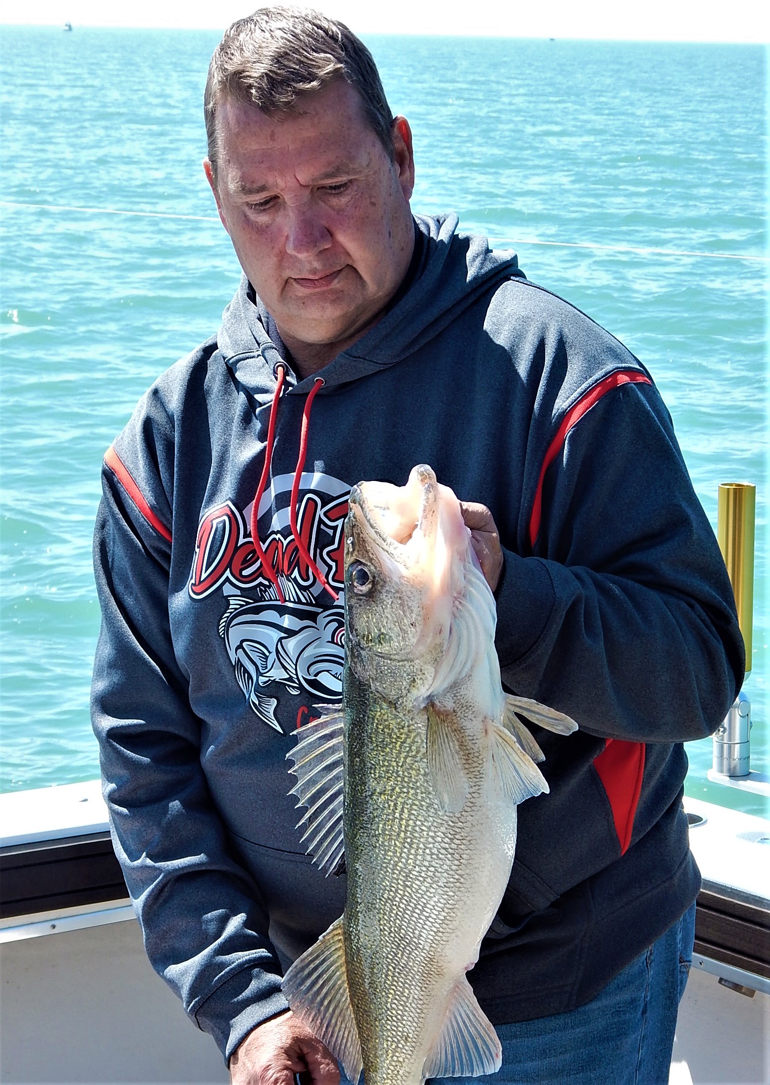 Fall Brings Yellow Perch Fishing Tradition and Walleye Derbies - MidWest  Outdoors