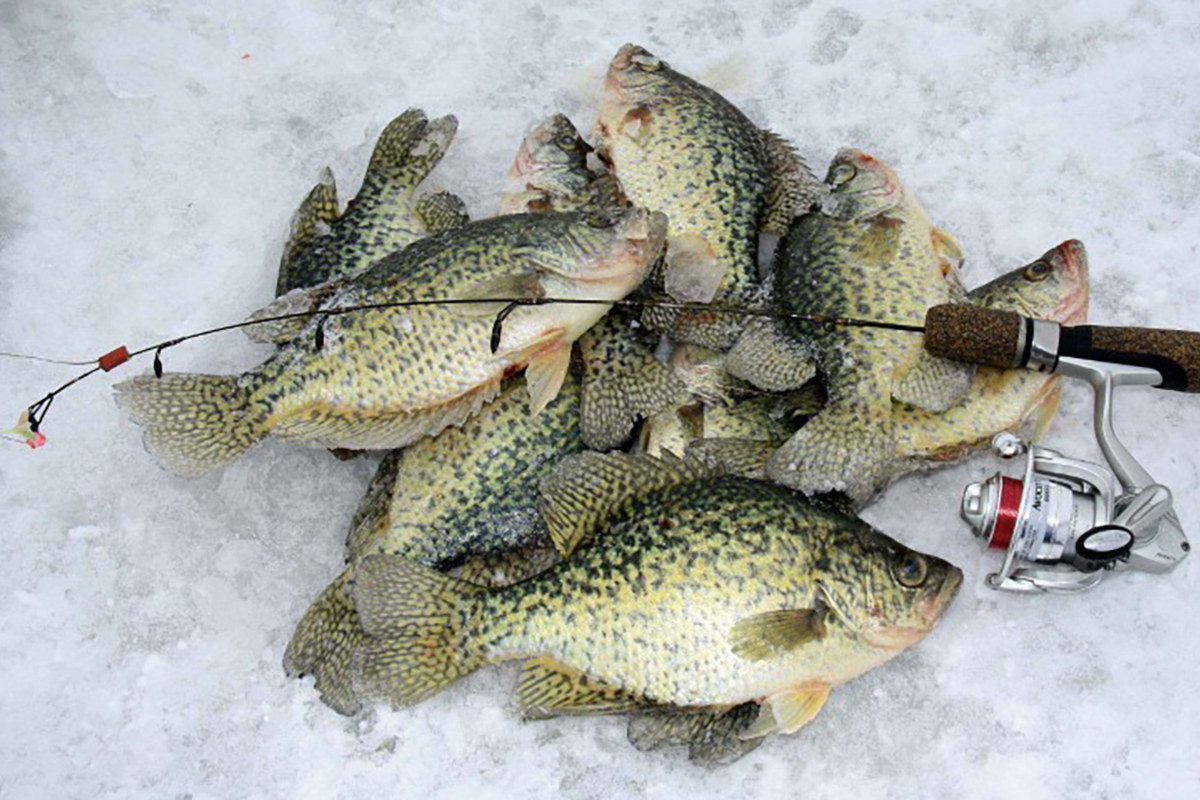 Ice Fishing for Big Panfish - MidWest Outdoors