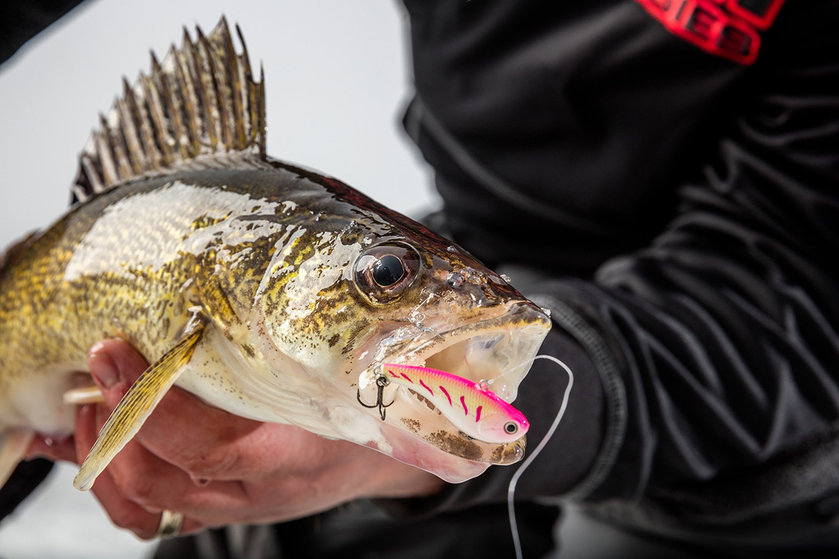 Loud and Proud Ice Tactics for Stained or Dirty Water - MidWest Outdoors