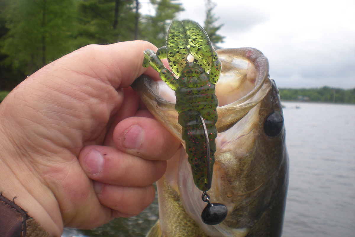 Making Sense of the Many Bass Jig Options - MidWest Outdoors