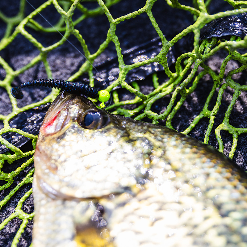 Summertime Crappies - MidWest Outdoors