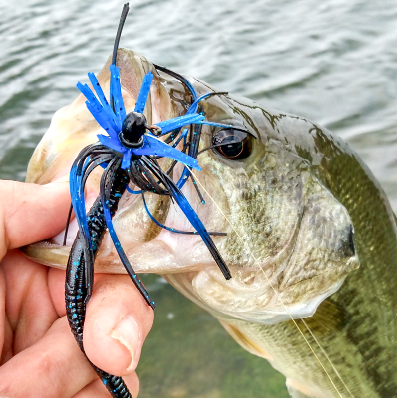 daiwa baitrunner spinning reel Regal Bri 4000 Bait Runner Surf | RG-4000-BRI Combo Rod & Reel Kits If offers more rigidity Fish Attractant Mike's Fishing Select a Model:7' / 6-12# Medium Power Extra Fast Action