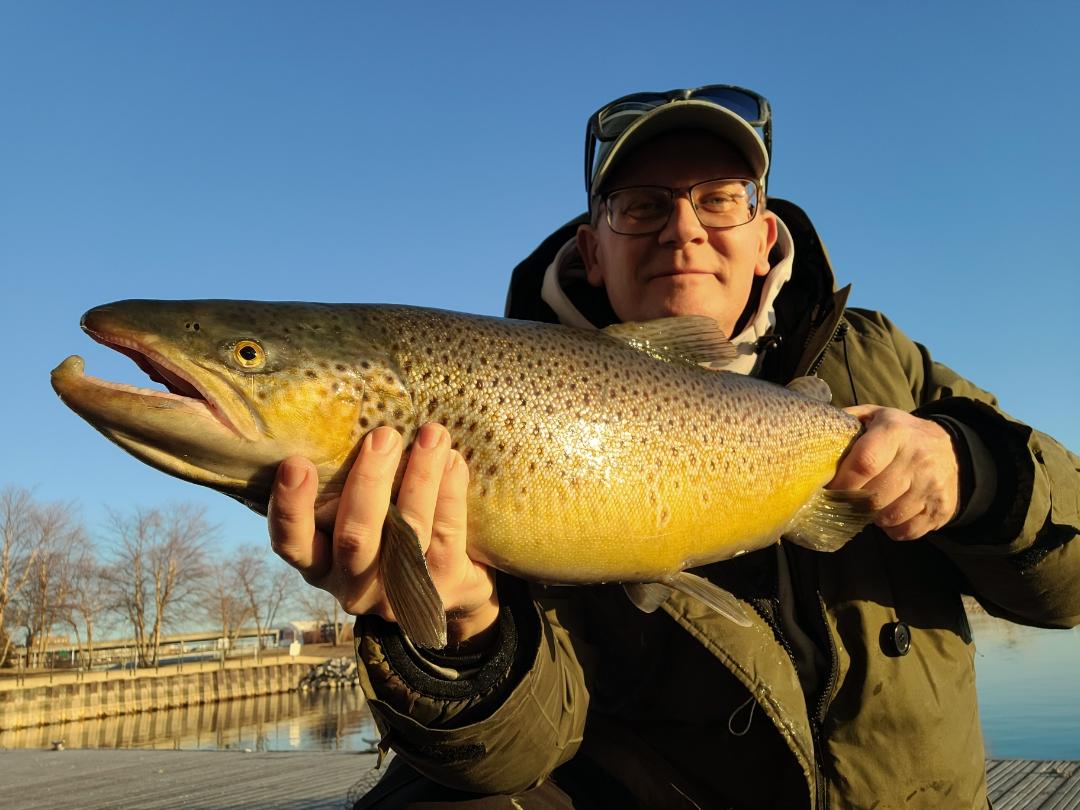 Homepage - MidWest Outdoors