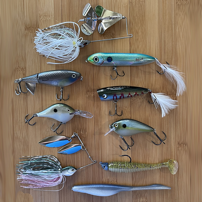 Brozowski-TransitionalBassin image - MidWest Outdoors