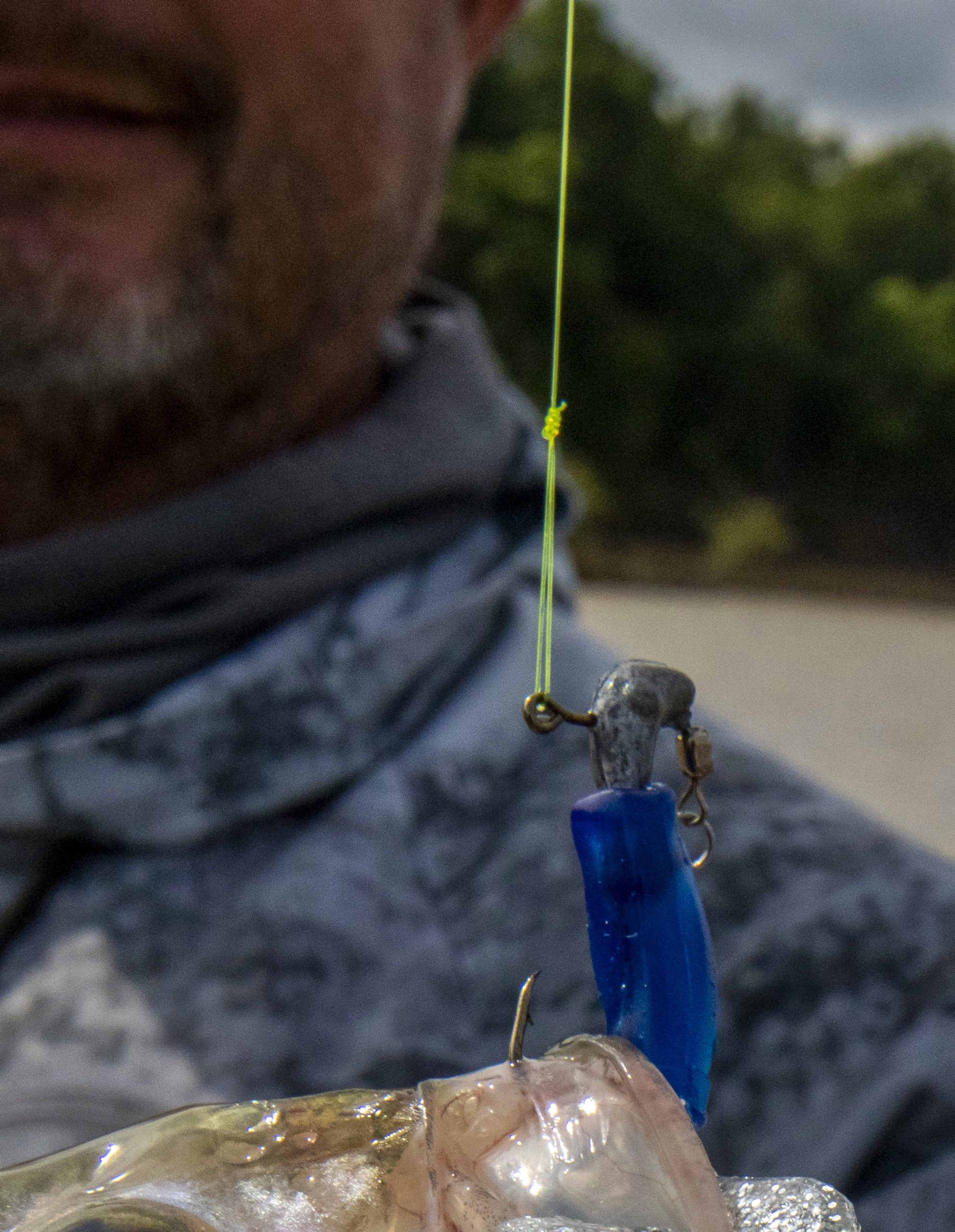 ballyhoo reel big fish the stone pony Horse Rigged Circle Hook – Baitmasters of South Florida st patricks jewelry Color:Toxic Purple Deep Ripper Fishing Rigs 13 Fishing