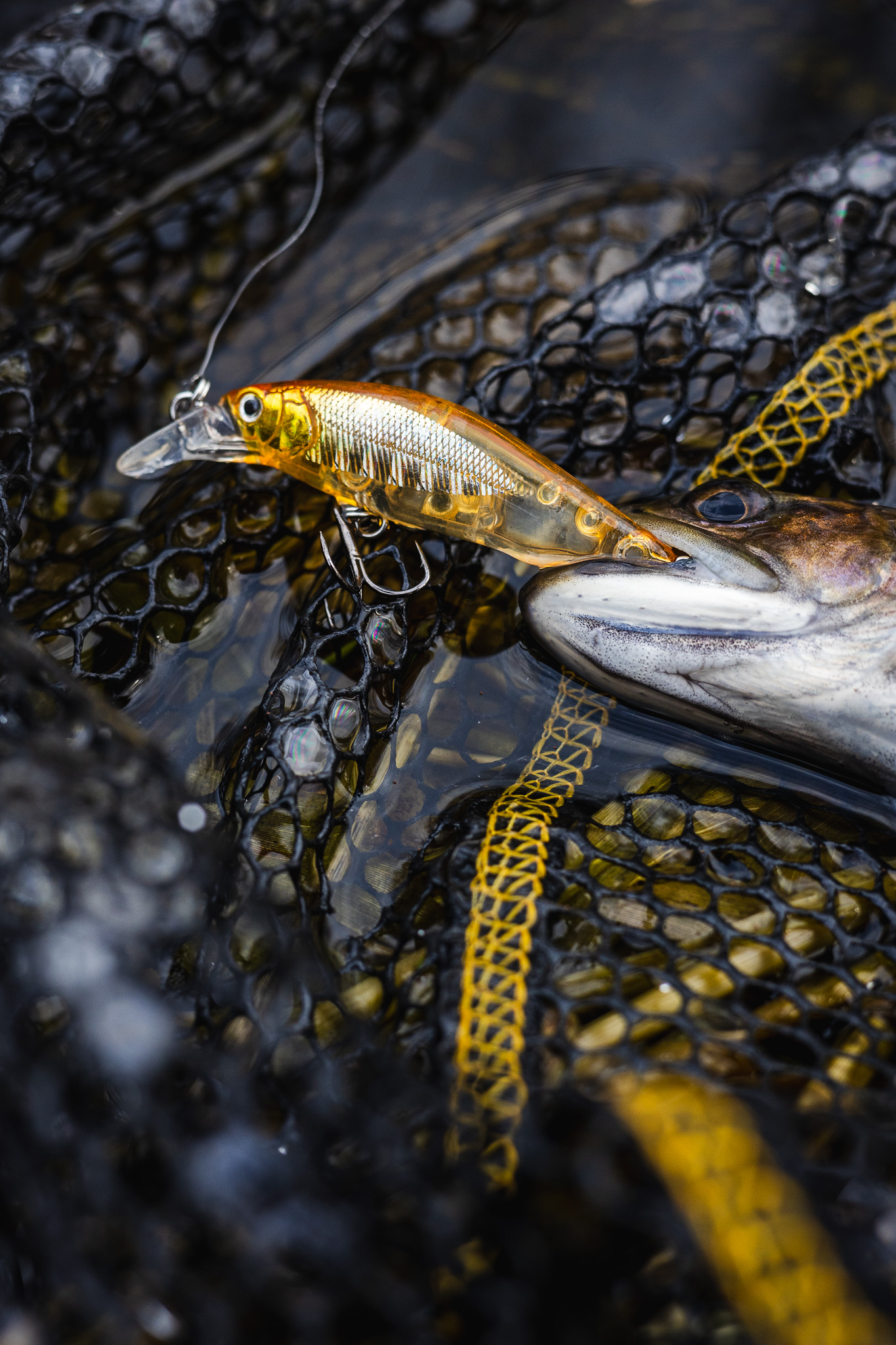 best early season trout lures Catching Early-Season Stream Trout